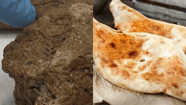 sakartvelo-purisa-da-ghvinis-samshoblo